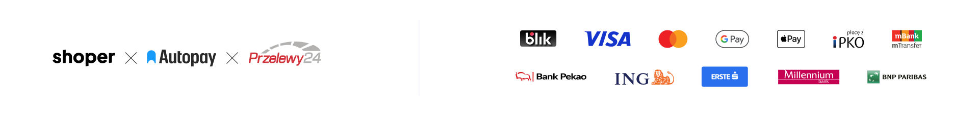 Płatności online i kartami obsługują Autopay S.A. i PayPro S.A. (Przelewy24) — BLIK, Visa, Mastercard, szybkie przelewy.